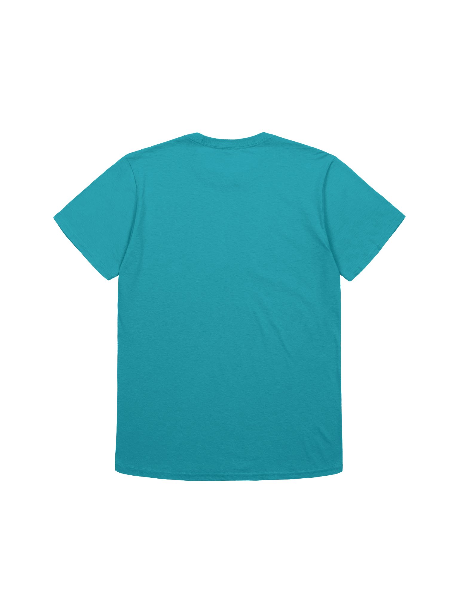 Frog and Toad Kite Unisex T-Shirt product image (4)