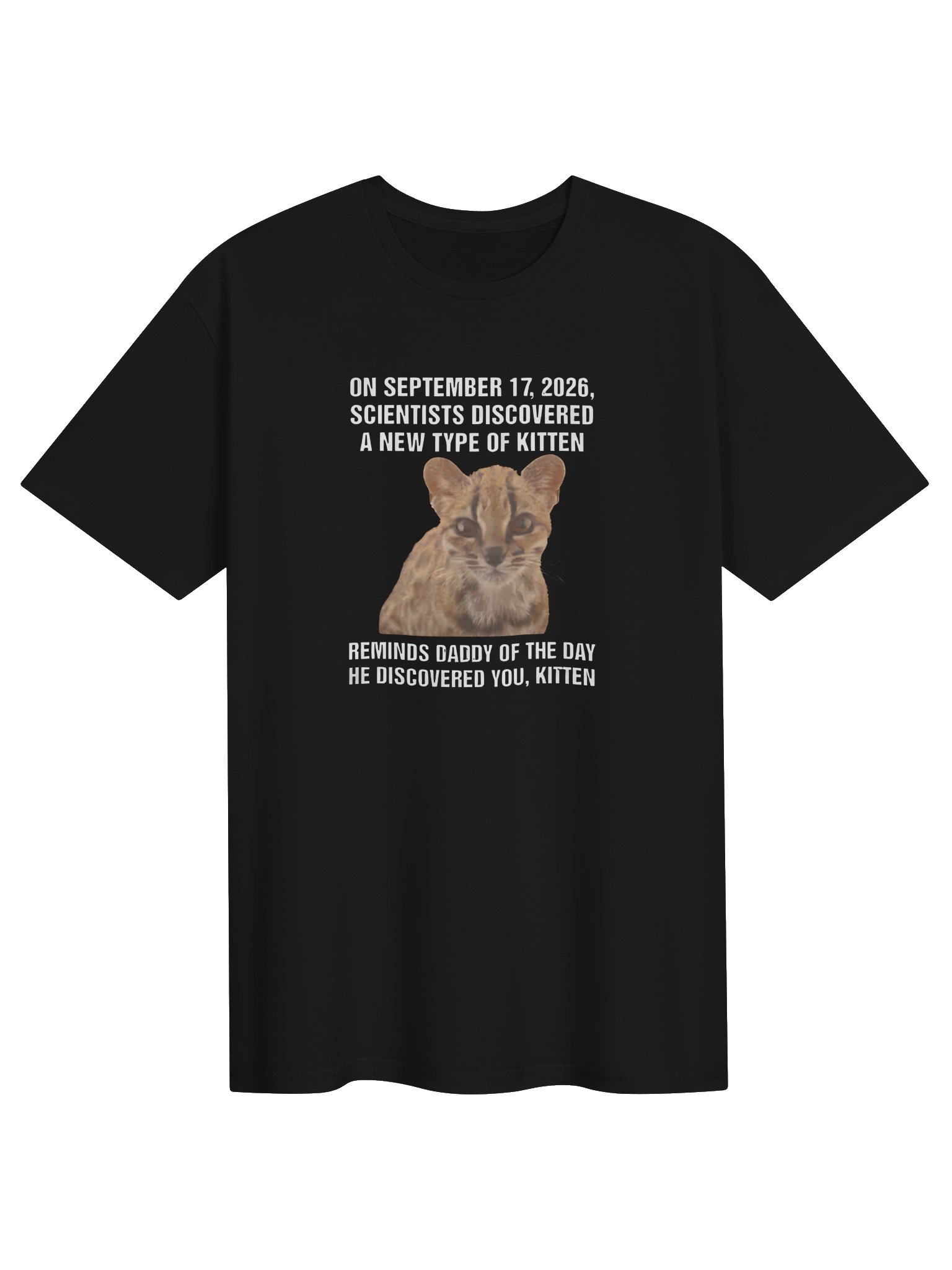 On September 17, 2026, Scientists Discovered A New Type Of Kitten. Reminds Daddy Of The Day He Discovered You, Kitten Shirt product image (1)