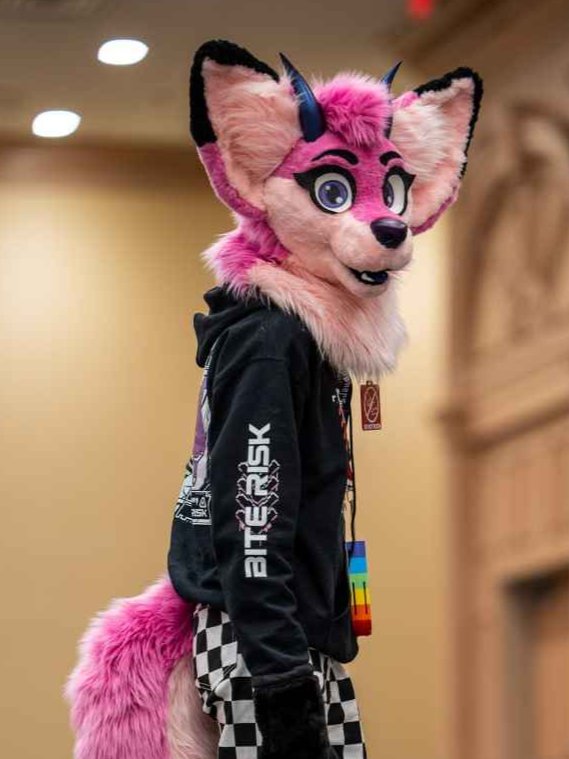 Bite Risk Classic Hoodie product image (1)