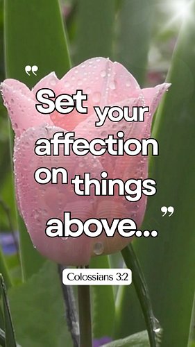 Keep Your Mind on God
🩷🤍🩷🤍🩷🤍🩷🤍🩷🤍🩷🤍🩷🤍
Colossians 3:2 — “Set your affection on things above…”
#BibleVerses #DailyBibleVerse #Go...