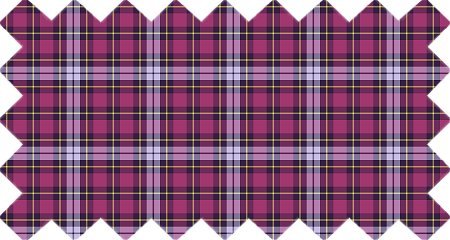 Bright Purple Plaid (CO08)