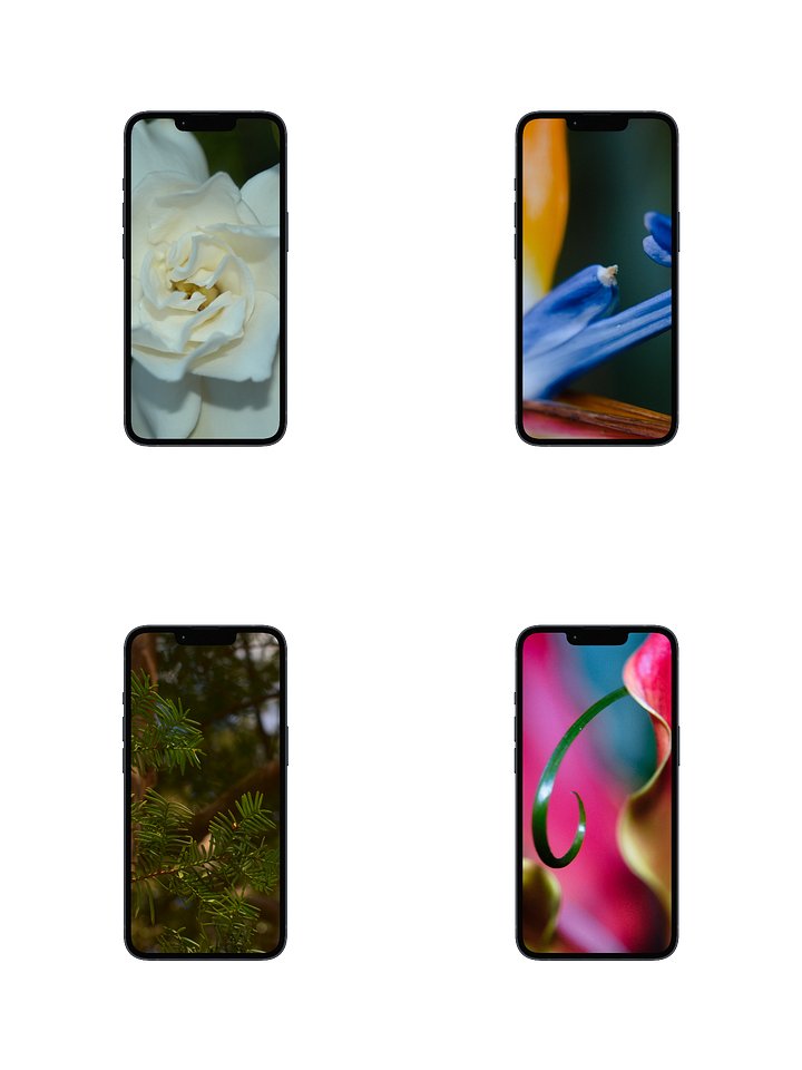 the beyond the thicket digital wallpaper collection product image (1)