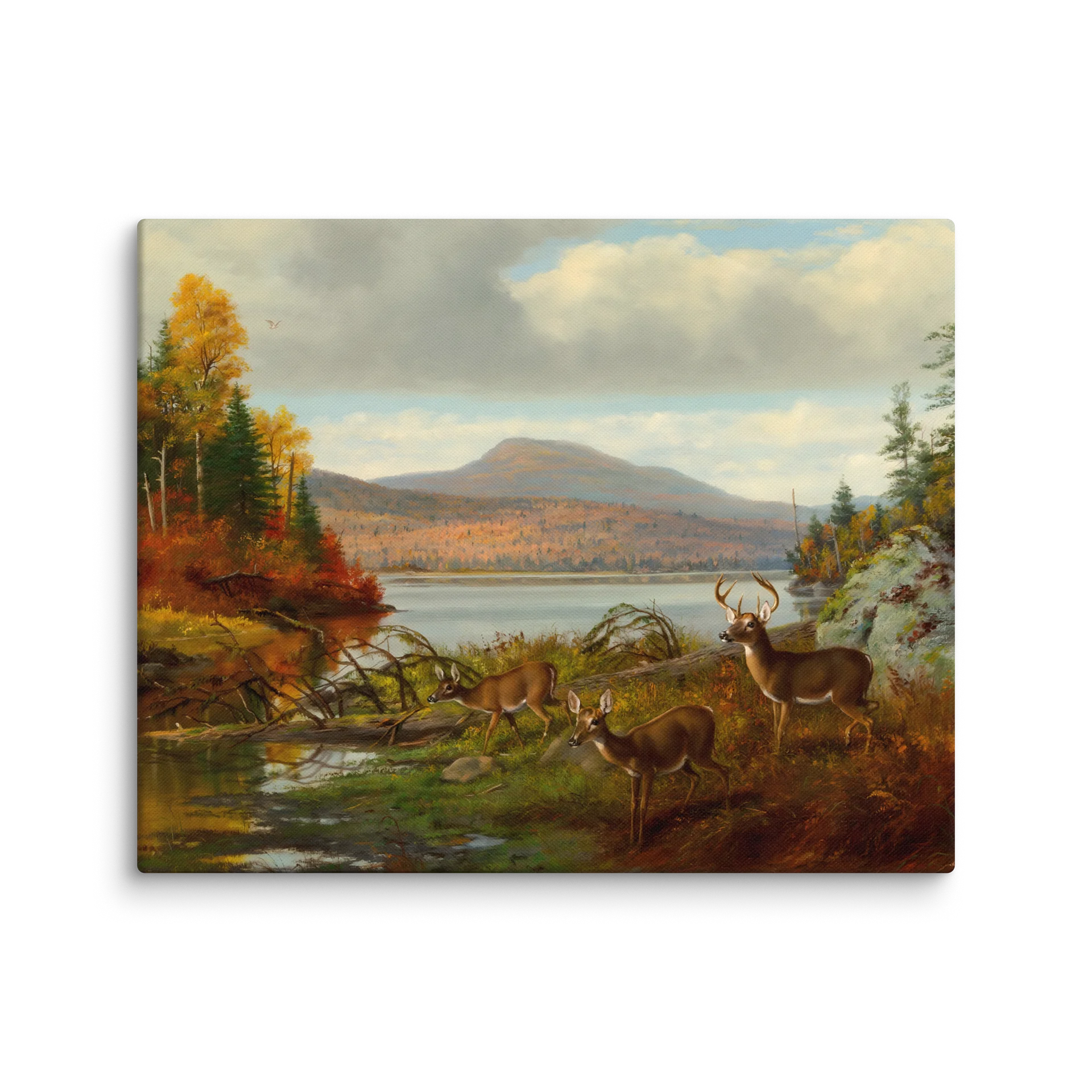 Antique Whitetail Deer in Fall Landscape Canvas Print product image (6)