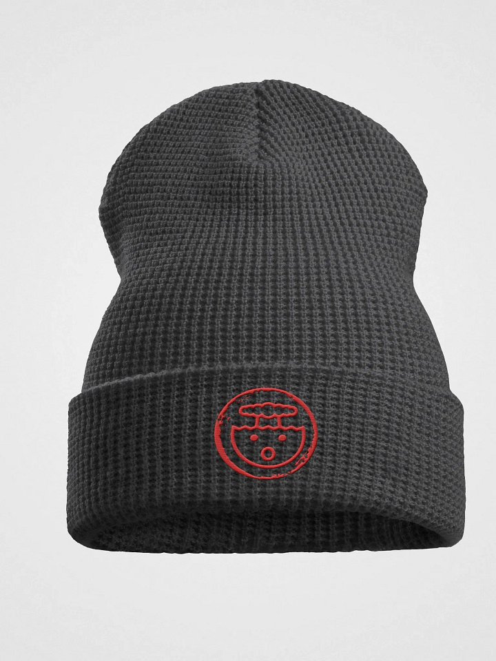 Beanie product image (1)