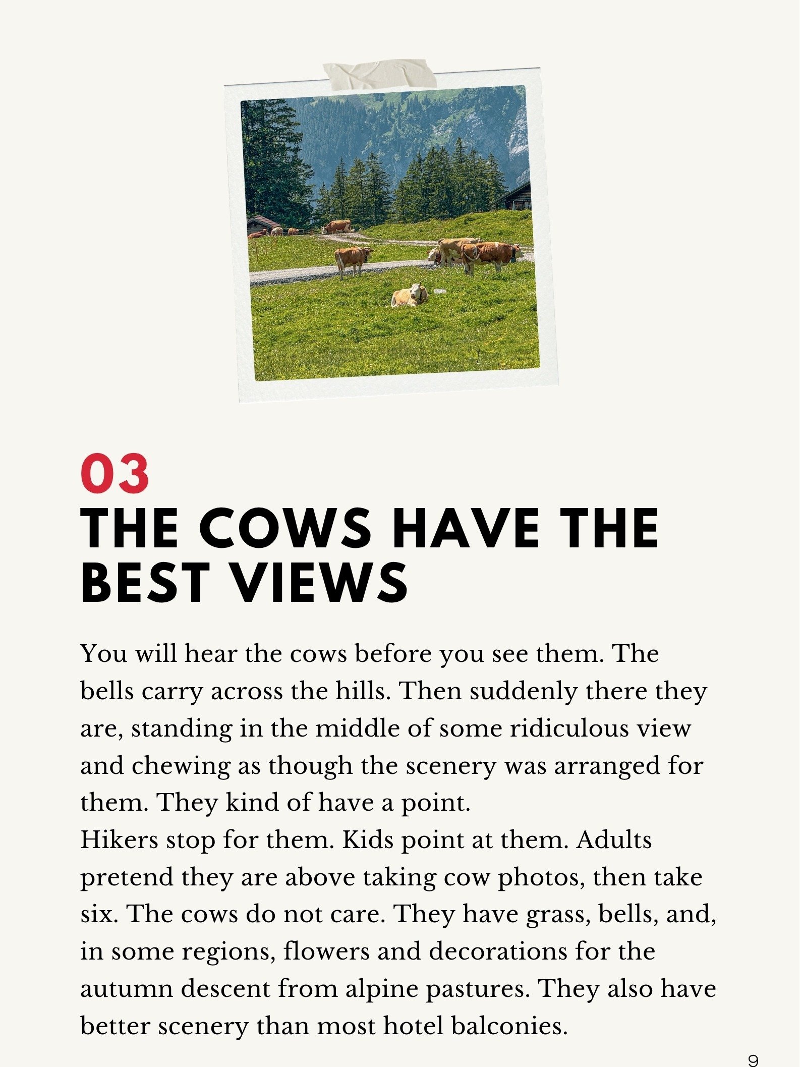 101 Things Nobody Told You About Switzerland Ebook product image (7)