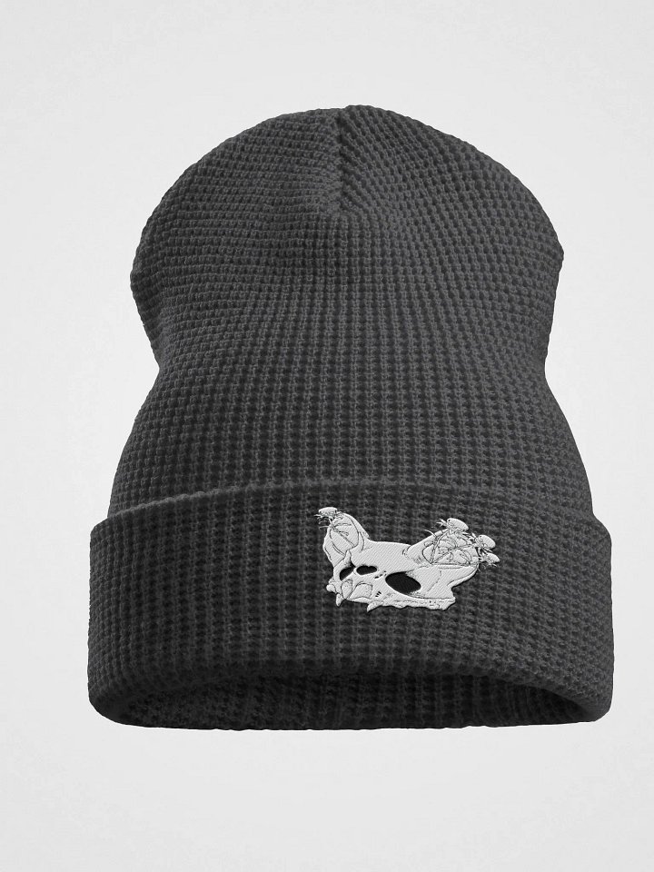 Bat Skull Waffle Beanie product image (1)
