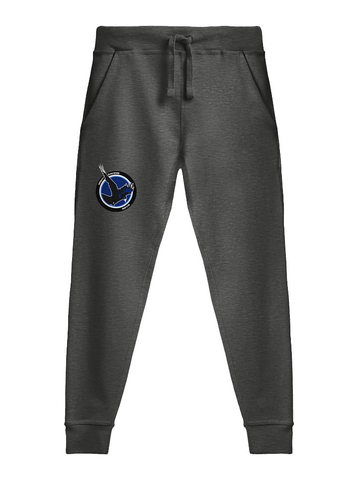 NIGHT RAVEN JOGGERS product image (2)