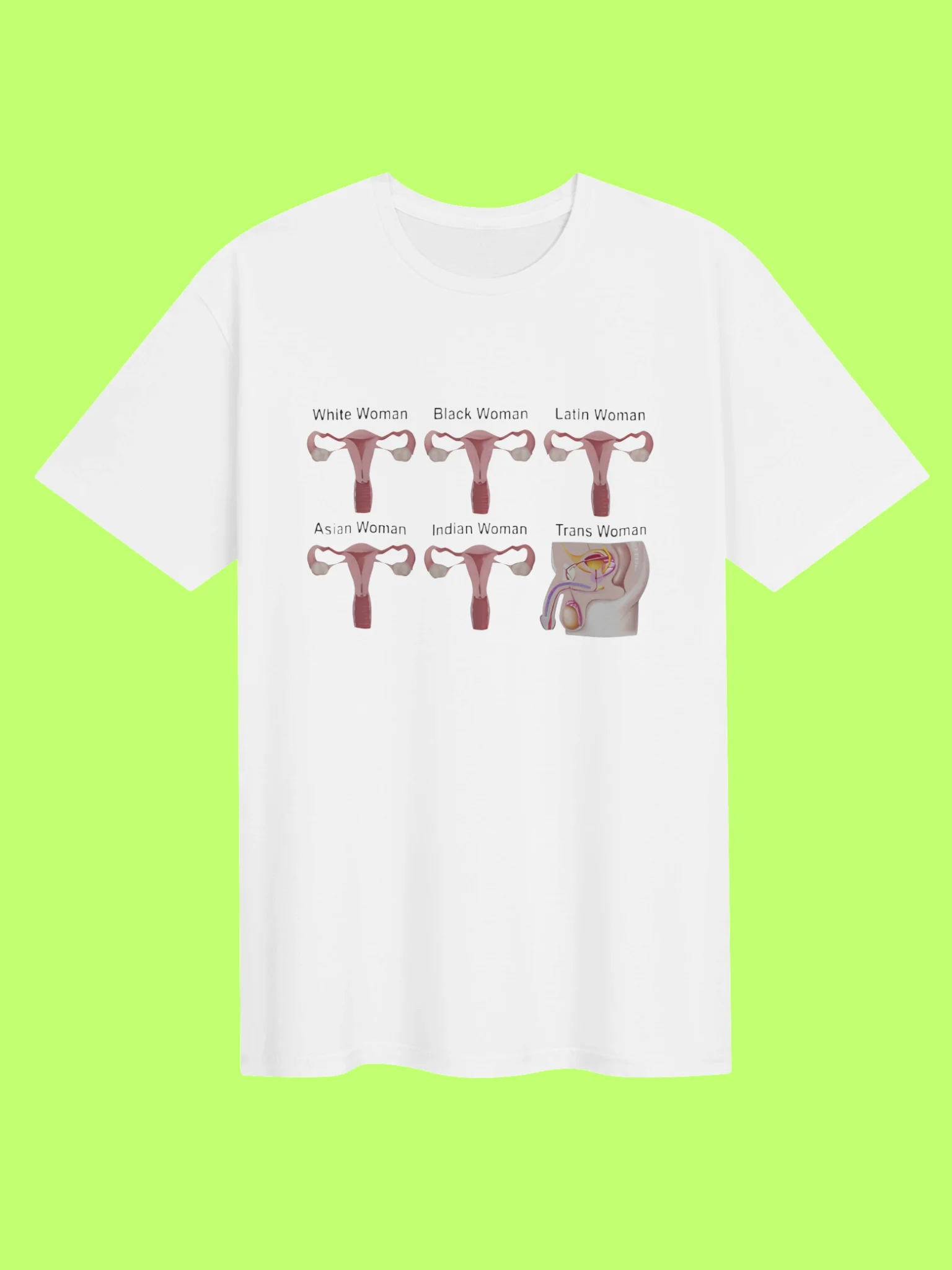 Reproductive System Shirt product image (151)