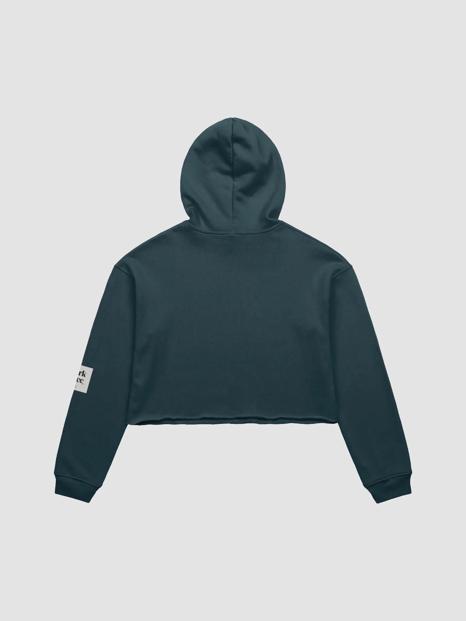 15th Century Influencer Cropped Hoodie product image (2)