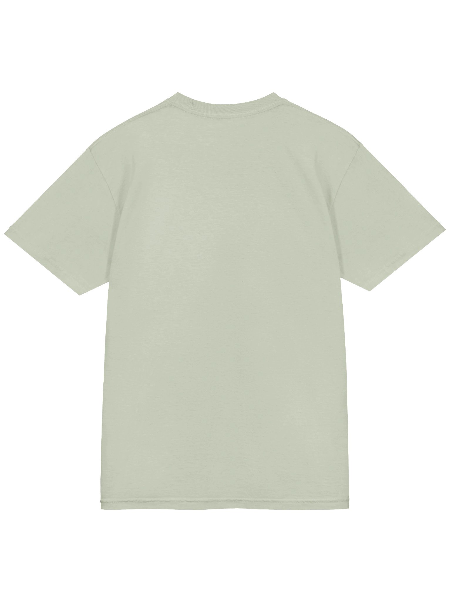 I Have a Seized Seatpost Tee product image (4)