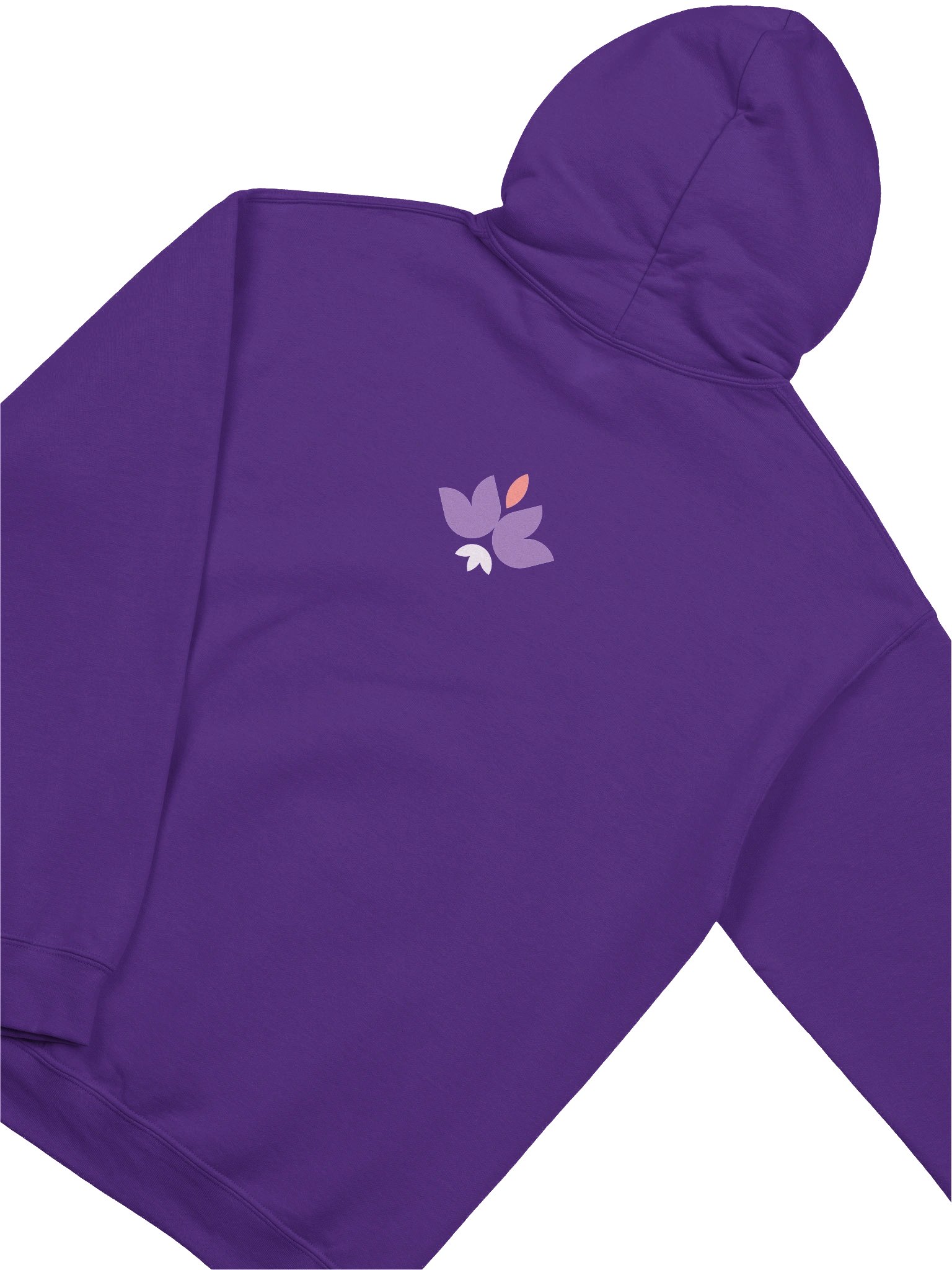 Asiaventura Hoodie product image (4)