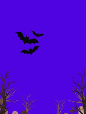 Trick or treat  #trickortreat#spookyseason #spookygirls#trickortreats #halloween #halloweenishere #spooky #spookytreats #bats #pumpkin #pumpkinseason #pumpkins #moon #moonlight #fullmoon #fullmoonvibes #halloweenlook #halloweenparty #funhalloween #trickortreating #boo #spookyfun #funny #funnyvids #funnyvideos #ghosts #ghoststories #witches #werewolf #vampire