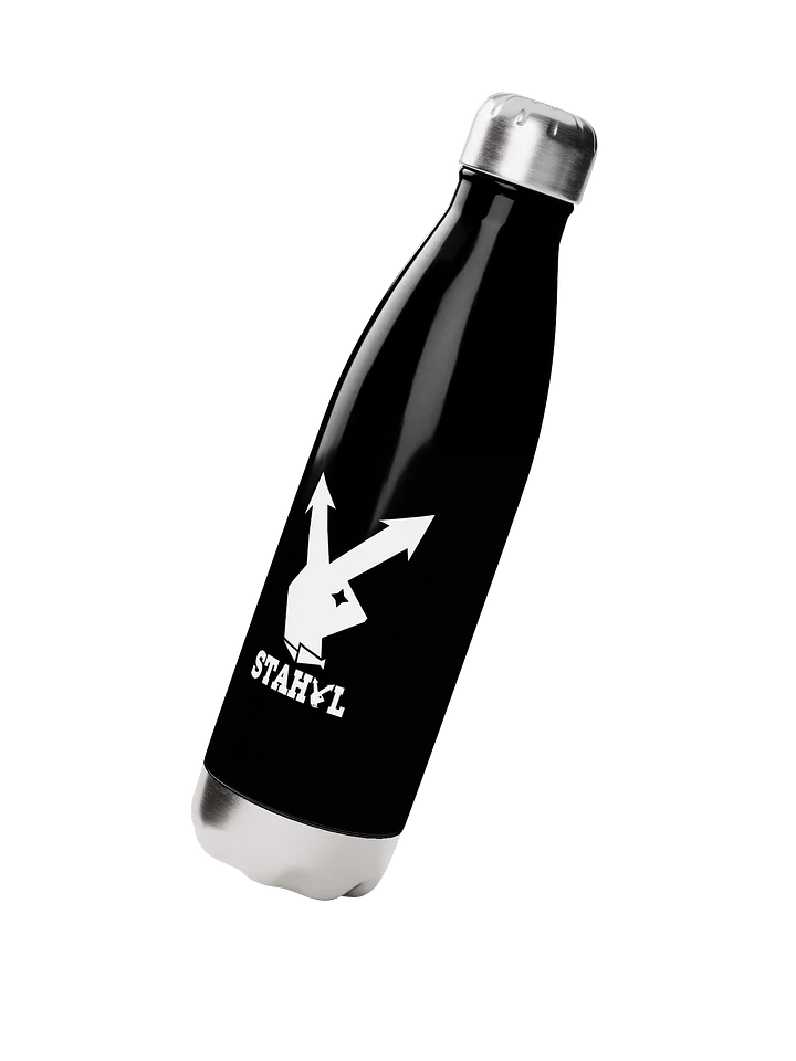 H20 Stahyl Bottle product image (2)