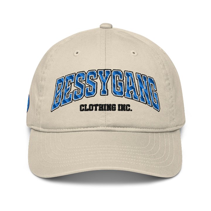 University Hat product image (2)