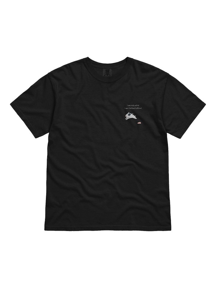 Cute Flying Bull Terrier product image (2)