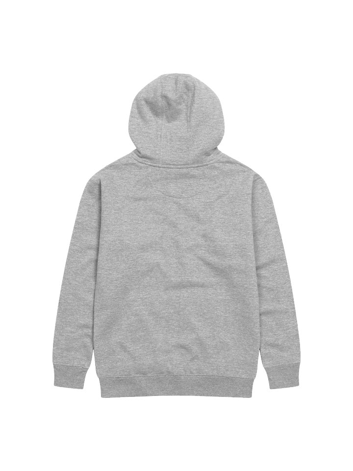 A New Policy Pullover Hoodie - WOMEN product image (5)