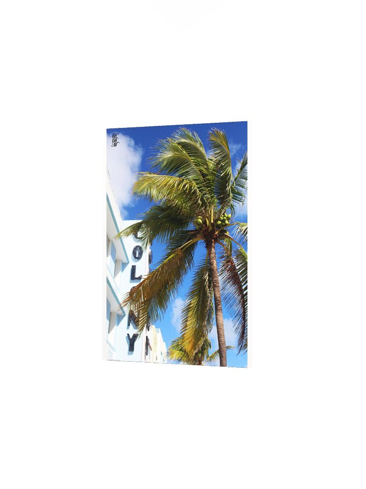Palm Tree on Miami Beach product image (14)