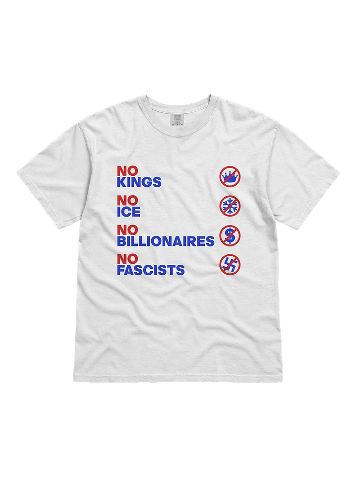 NO KINGS, NO ICE, NO BILLIONAIRES, NO FASCISTS product image (1)
