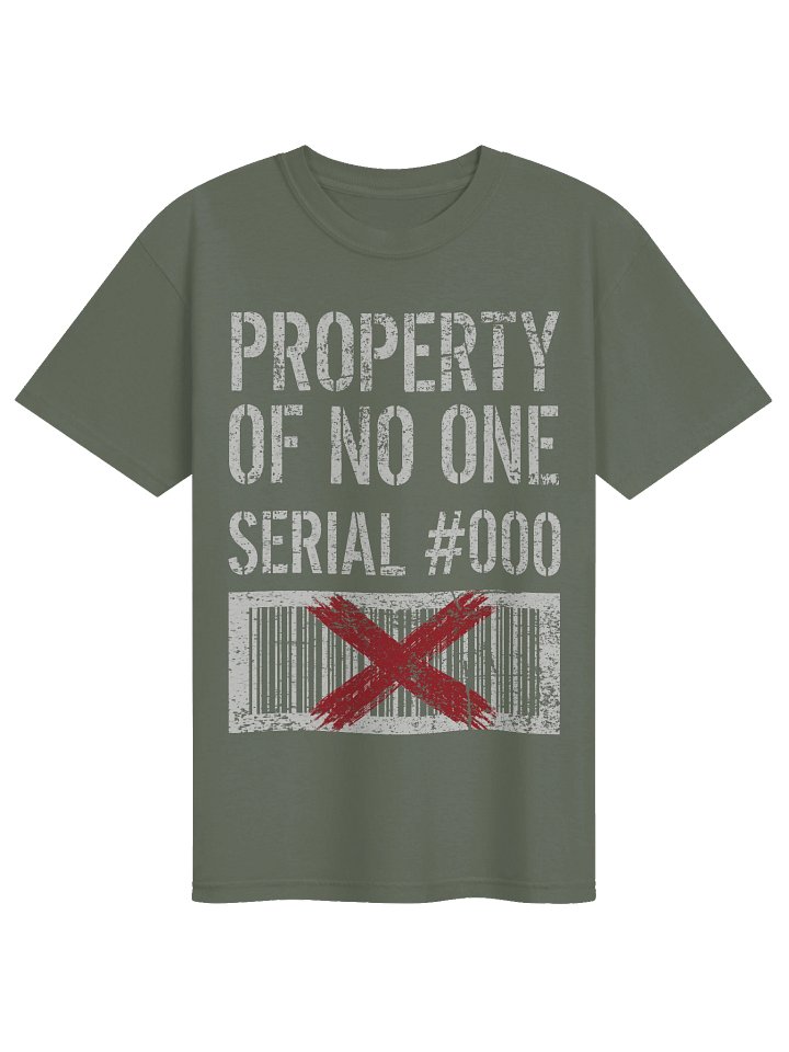 Property Of No One // Heavyweight Vintage Graphic Tee product image (1)