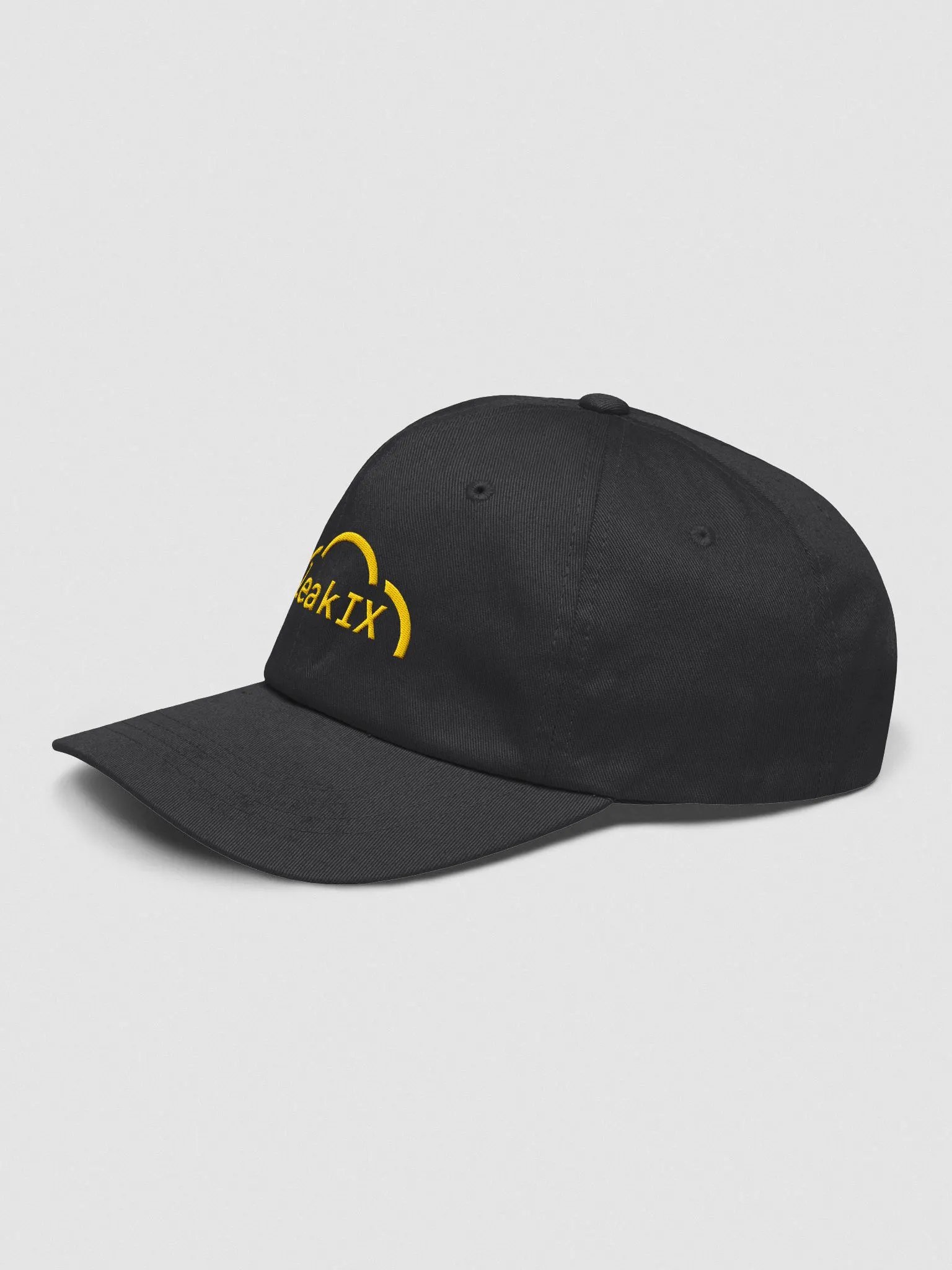 leakIX - hat for IRL protection product image (5)