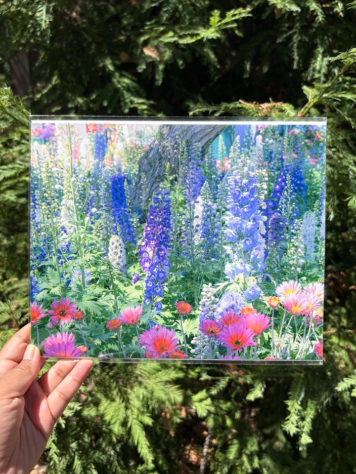 Delphinium Faerie Garden Print product image (1)