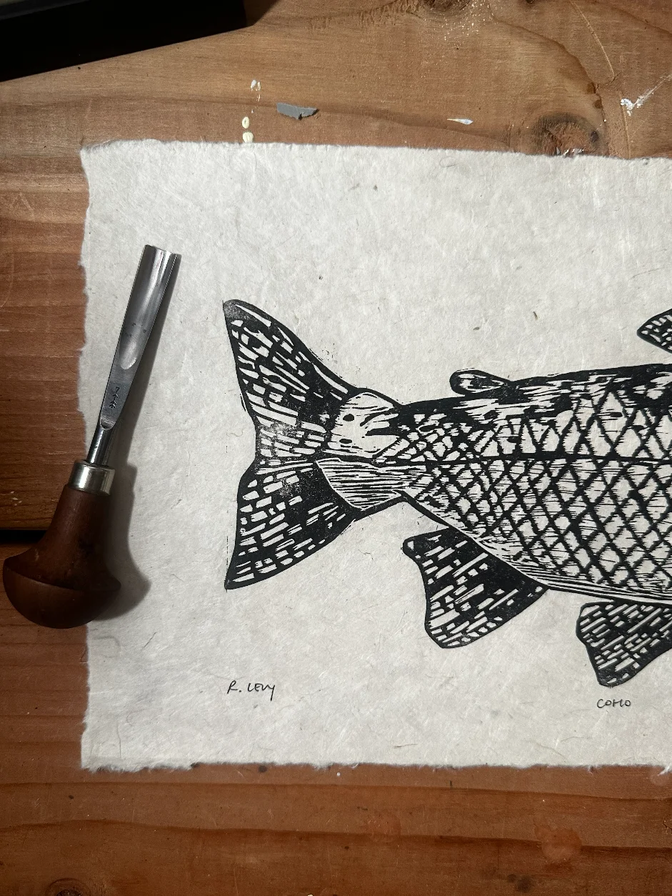 Coho product image (4)