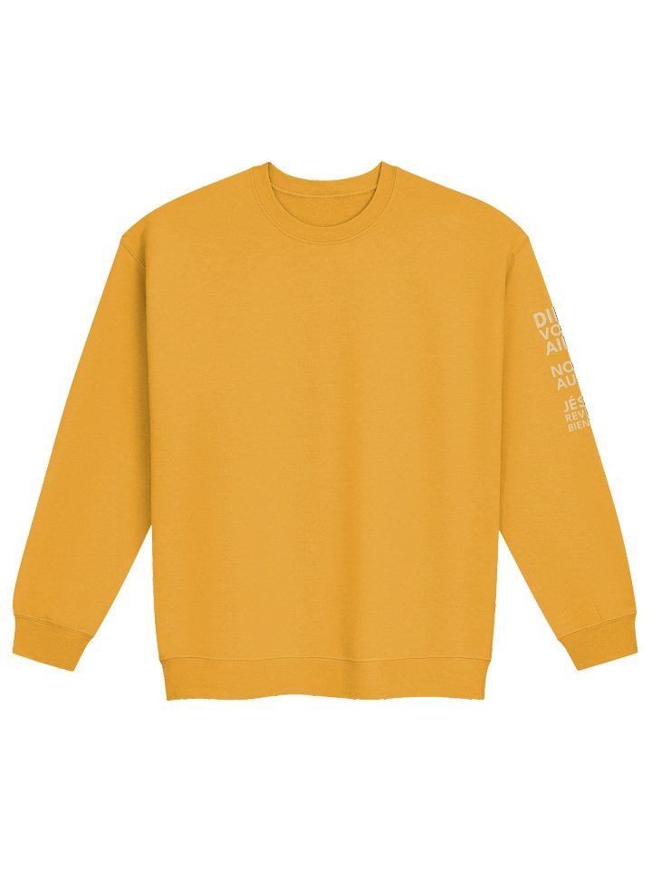 Sweat “PASSION POUR DIEU / COMPASSION POUR TOUS” product image (5)