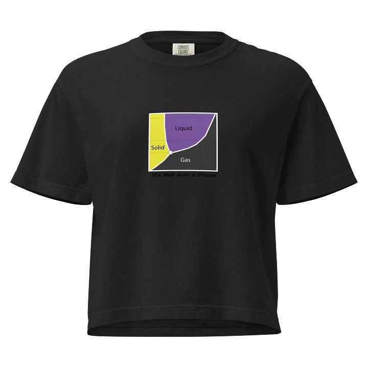 It's Not Just a Phase- Non Binary Shirt product image (1)