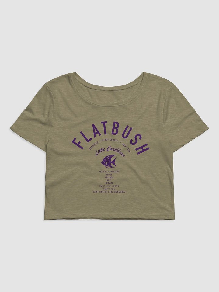 Flatbush Little Caribbean Crop top product image (1)
