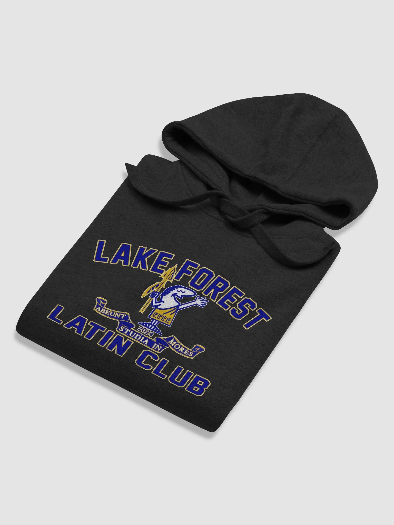 Lake Forest Latin Club Hoodie product image (51)