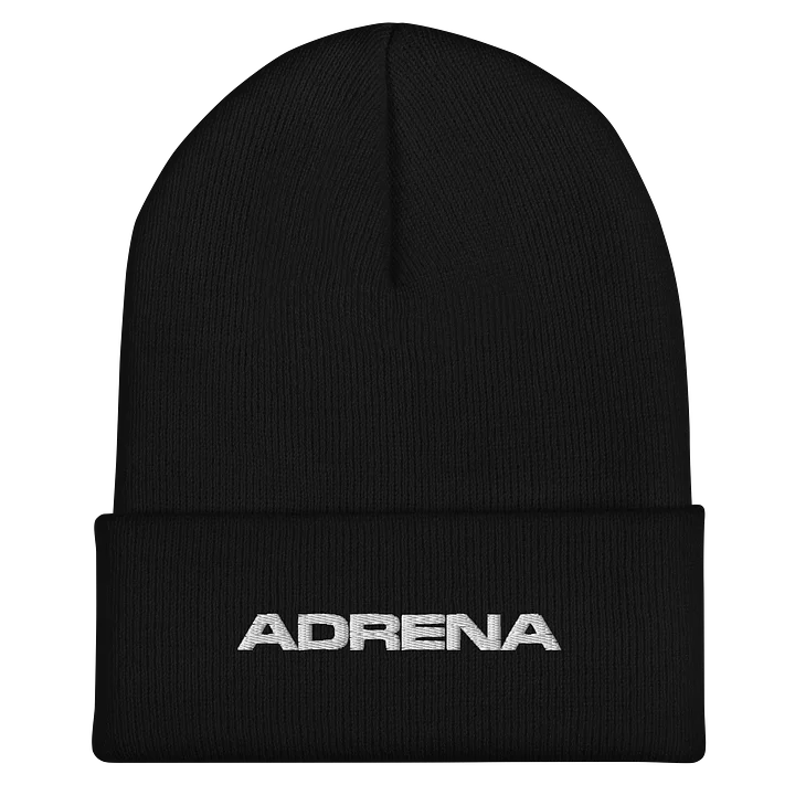 Cuffed Beanie product image (1)