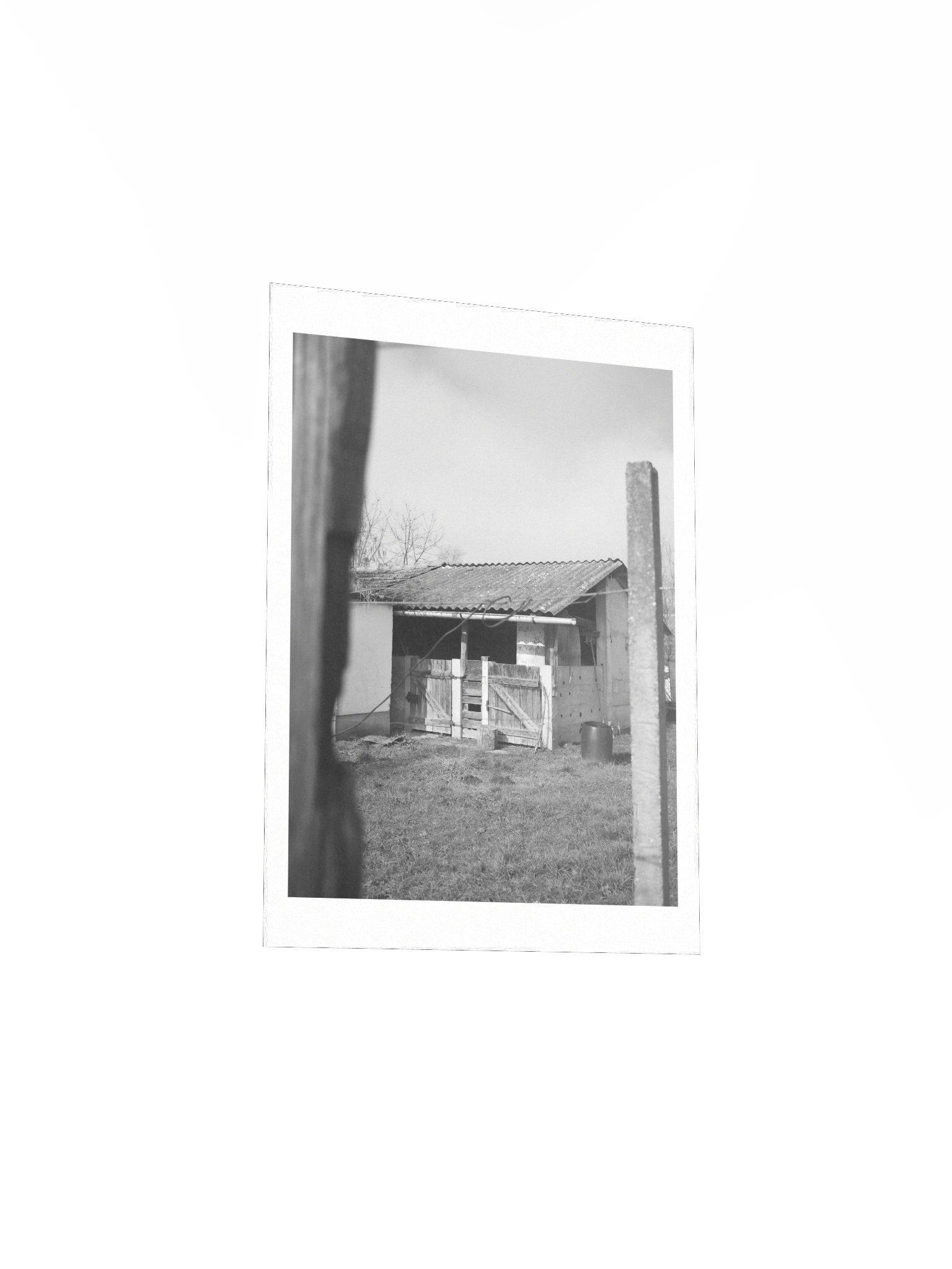 Where Time Stayed product image (4)