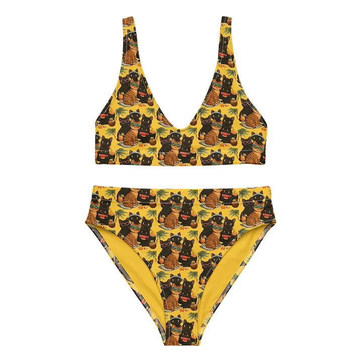 Cat Brigade summer High-Waisted Bikini Set product image (1)