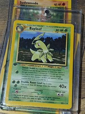 BAYLEEF