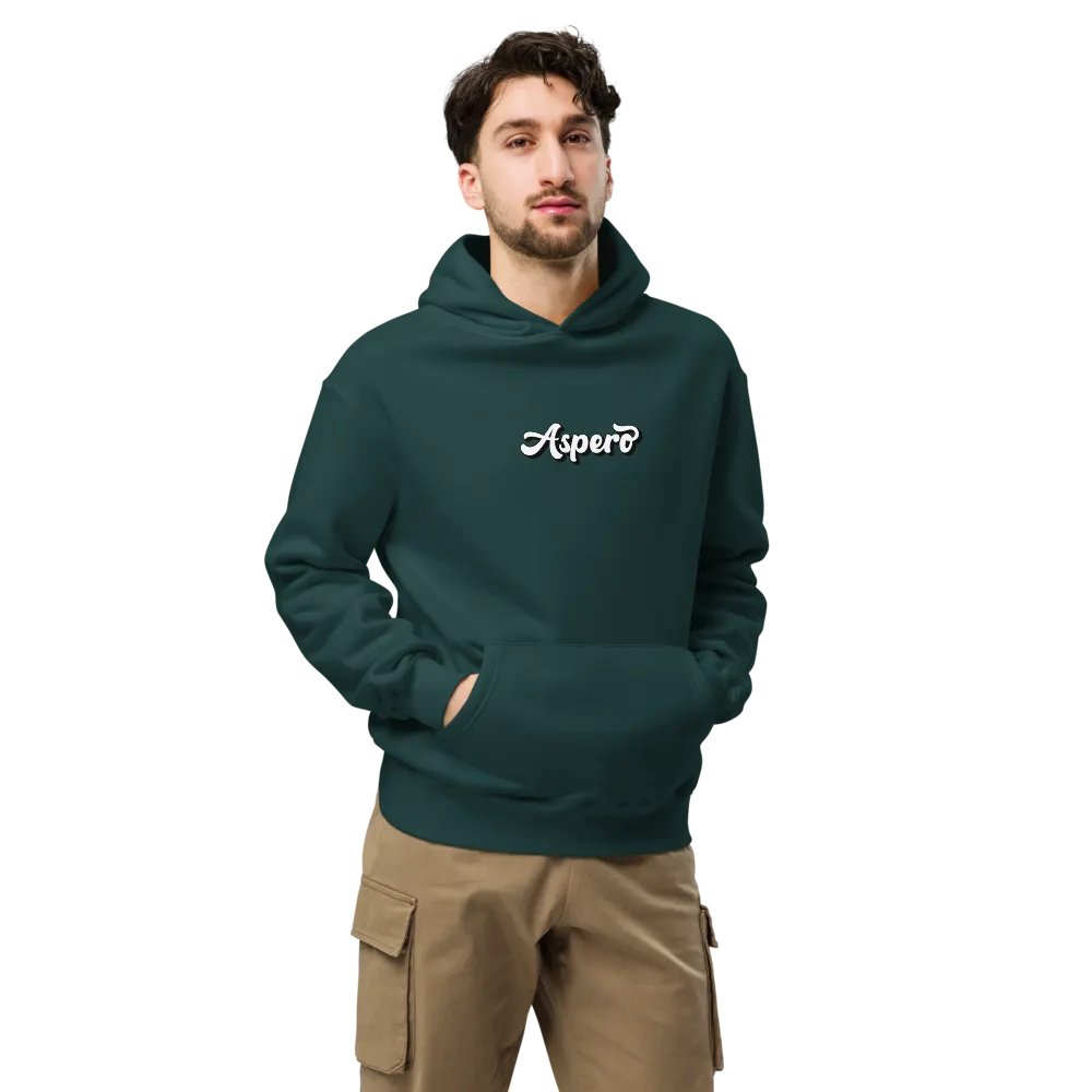 Aspero AS Colour Unisex Premium Oversized Hoodie product image (24)