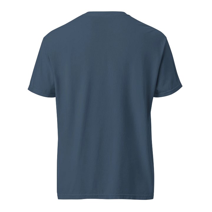 SA Conspiracy Heavyweight Tee product image (2)