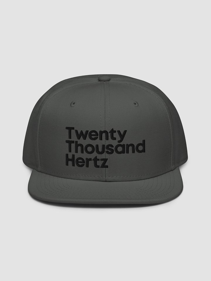 20K Flat Brim Cap product image (2)