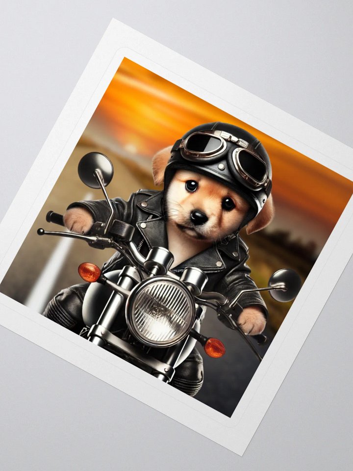 Born to ride… and fetch! product image (2)