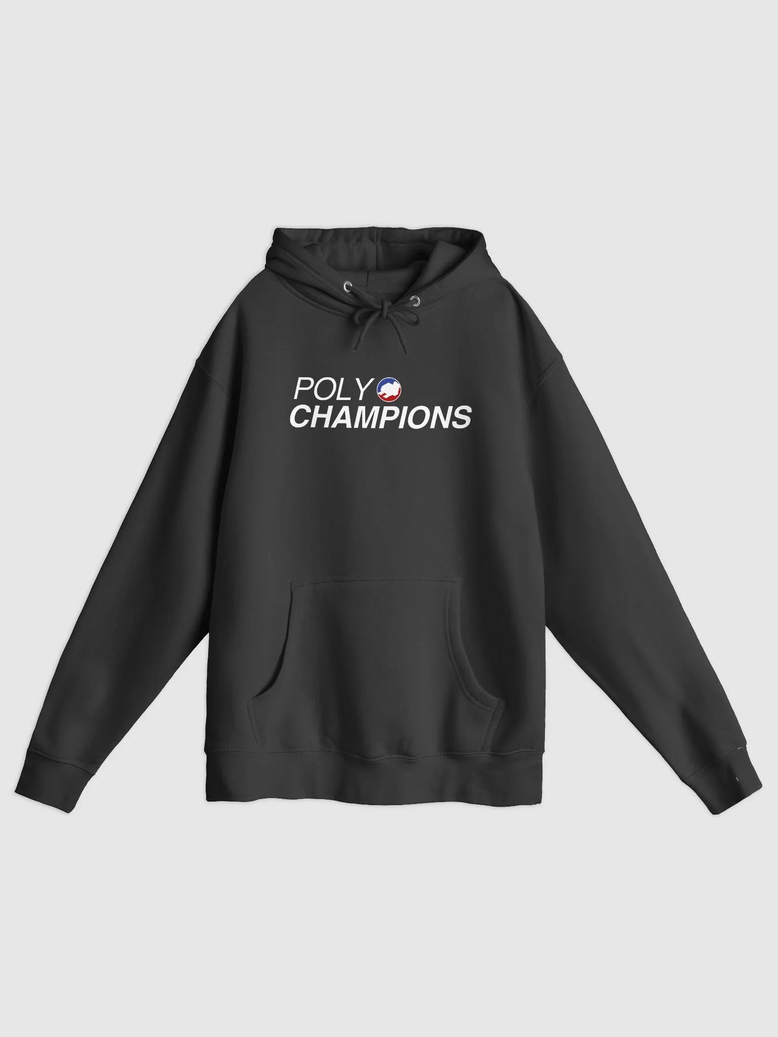 PolyChampions Hoodie product image (2)