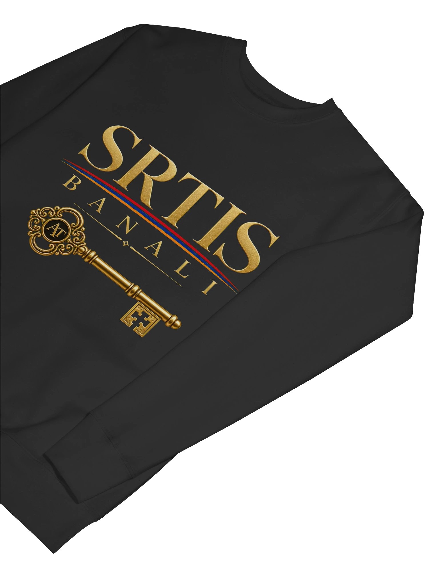SRTIS Banali Sweatshirt product image (37)