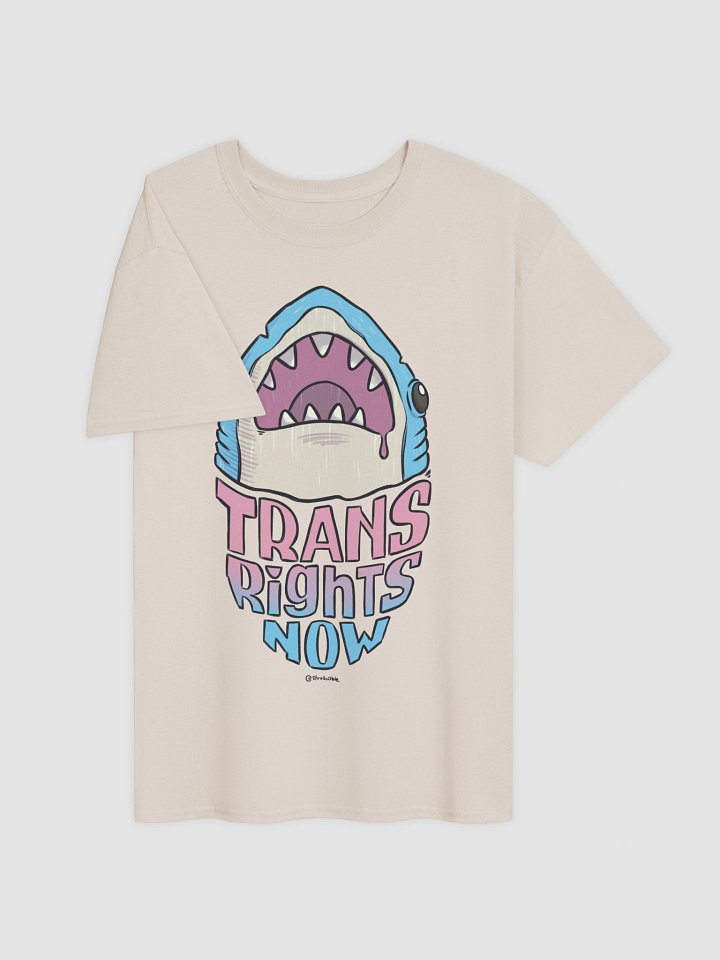 t-shirt : trans rights now product image (2)
