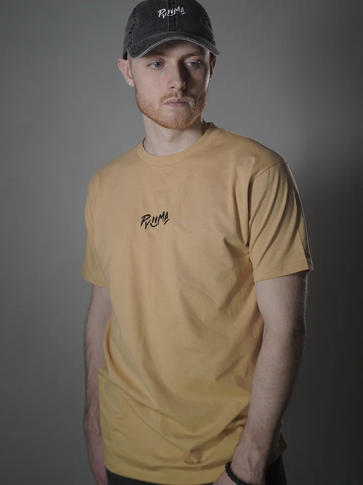 Pack Essentials Tan Embroidered Tee product image (2)