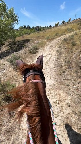 I missed this while we were at Stagecoach… #horse #western #gallop #trailride #cowgirl