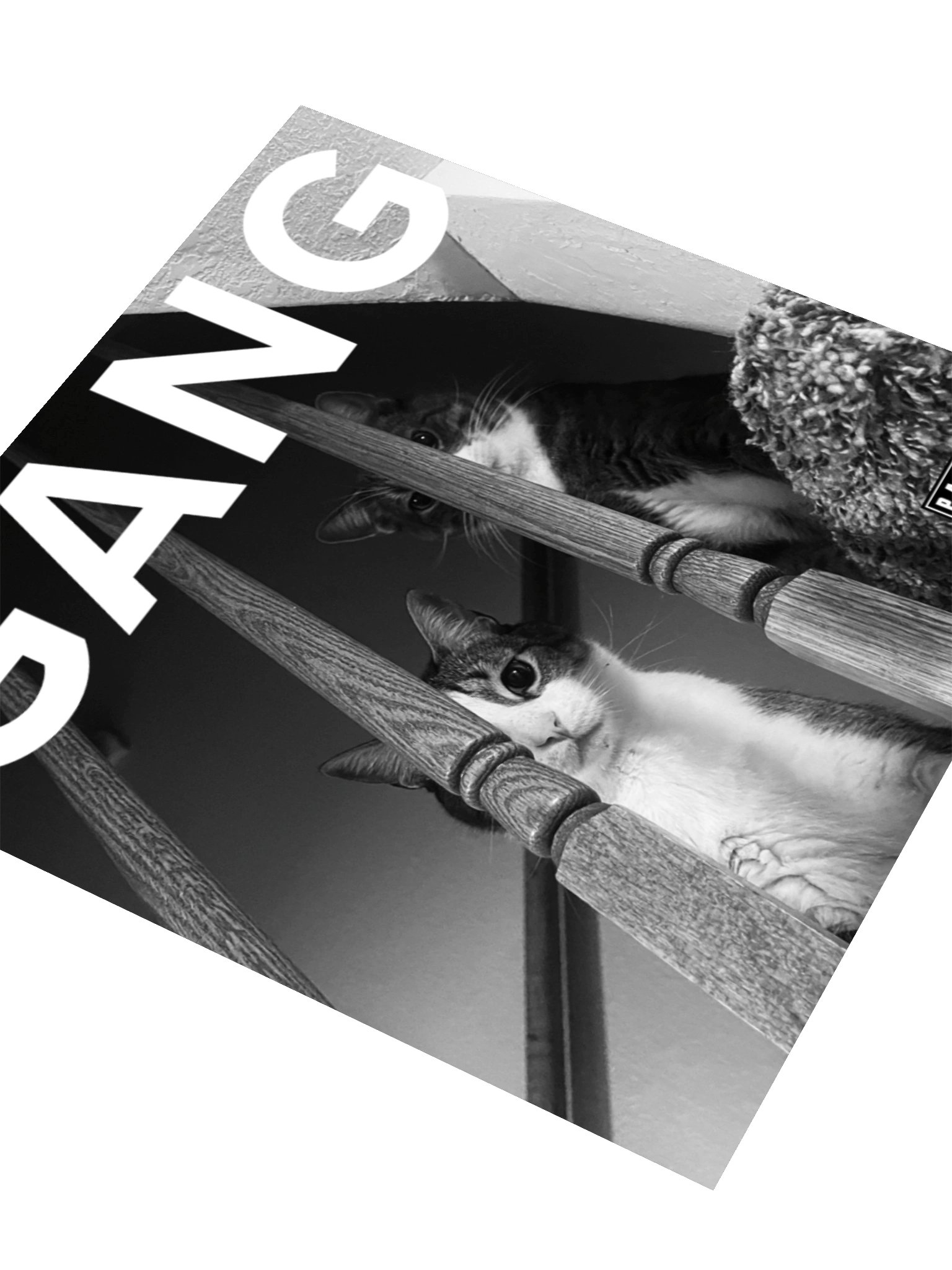 we should start a band product image (3)