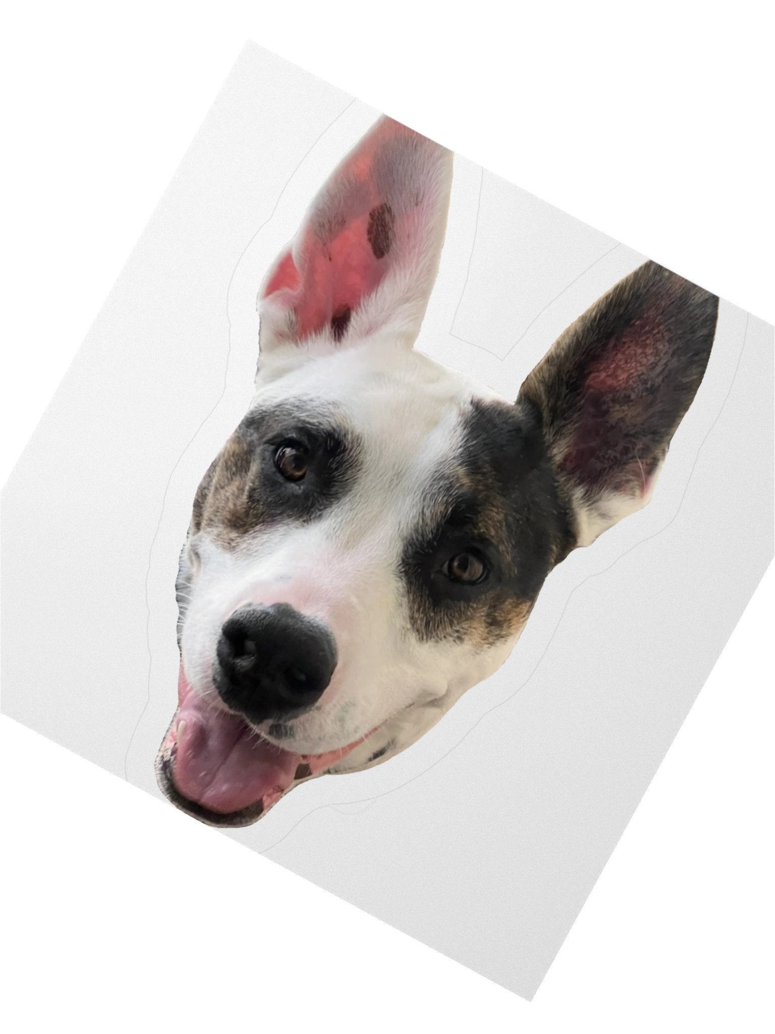Sagey Sticker product image (5)