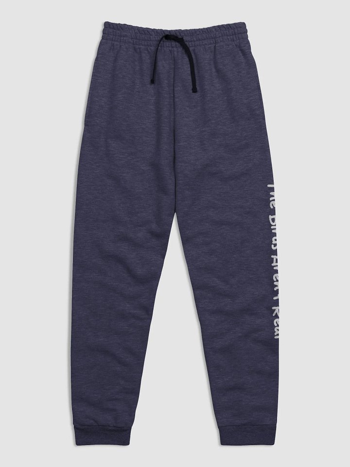 Government Spies Joggers product image (1)