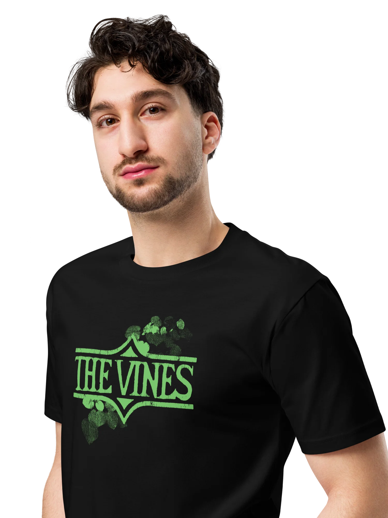 The Vines Distressed Logo Tee product image (4)