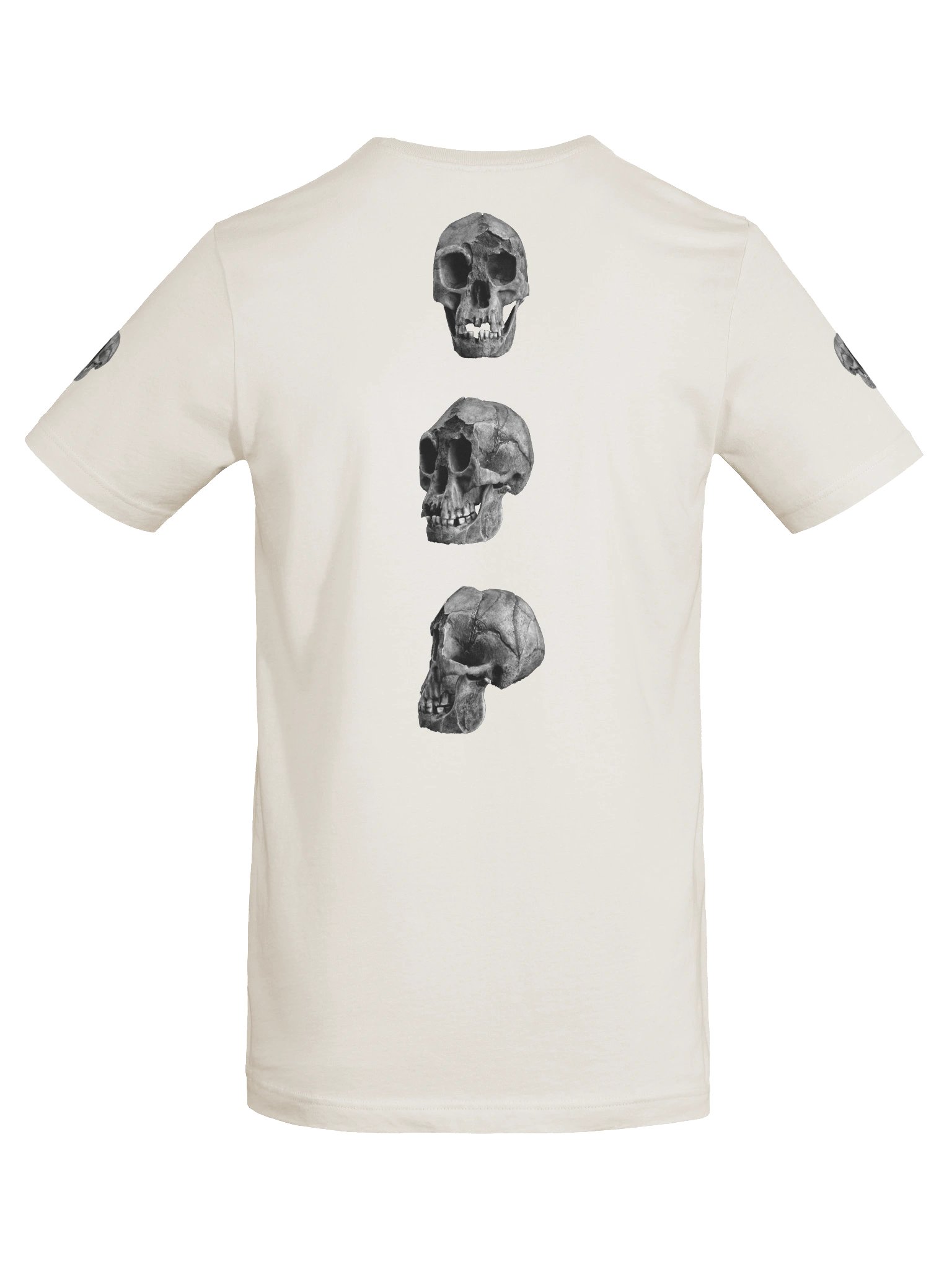 Floresiensis Fossil Skull T-Shirt Light product image (6)