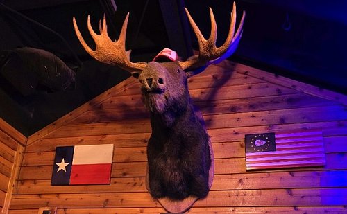 The Fraternal Order Of The Sacred Moose 🫎 🔻