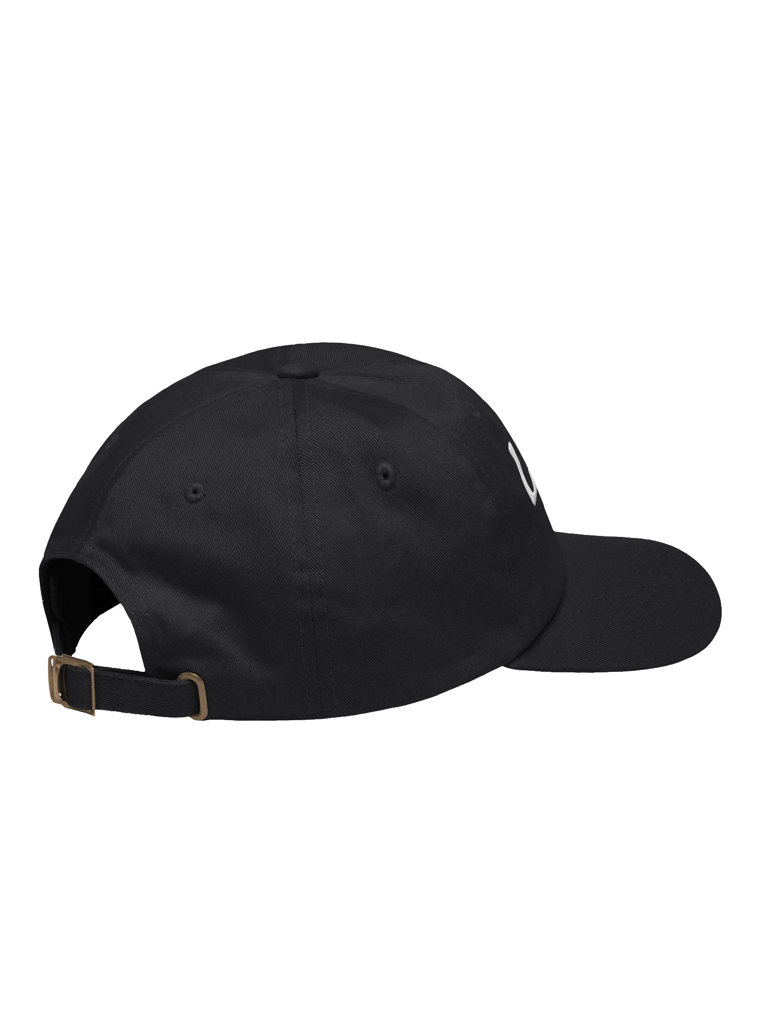 Local / Private Collection Cap product image (5)